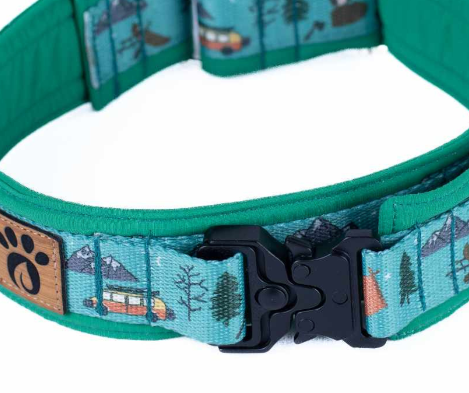 Collier pour chien Éco-Quotidien