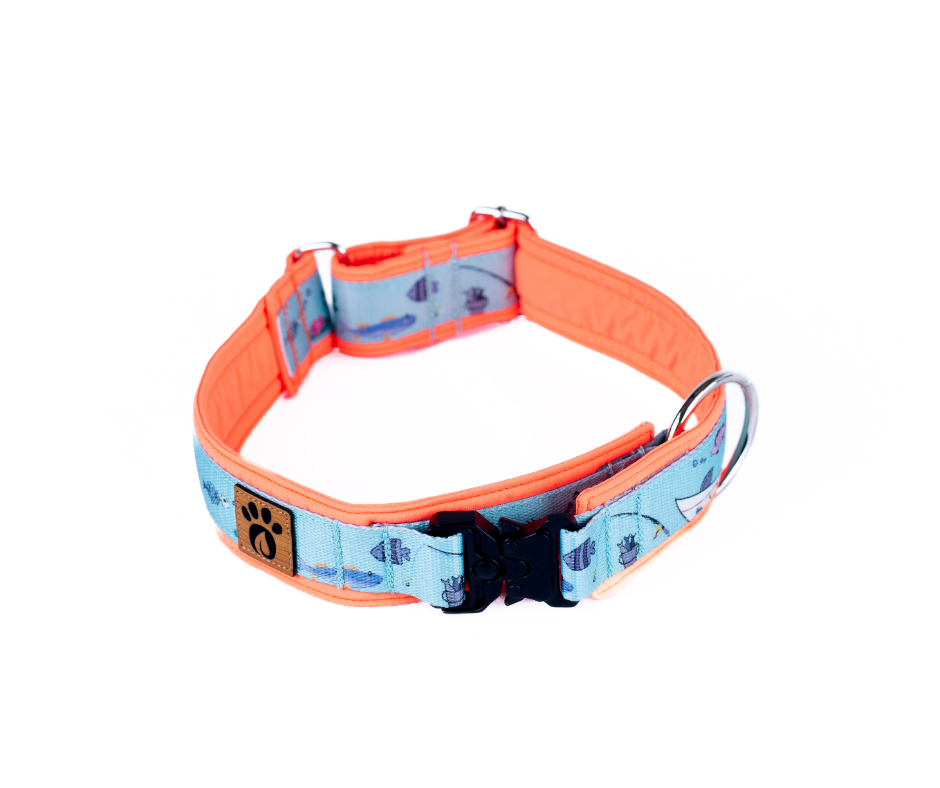 Collier pour chien Éco-Quotidien