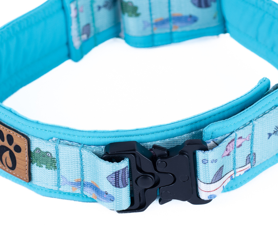 Collier pour chien Éco-Quotidien