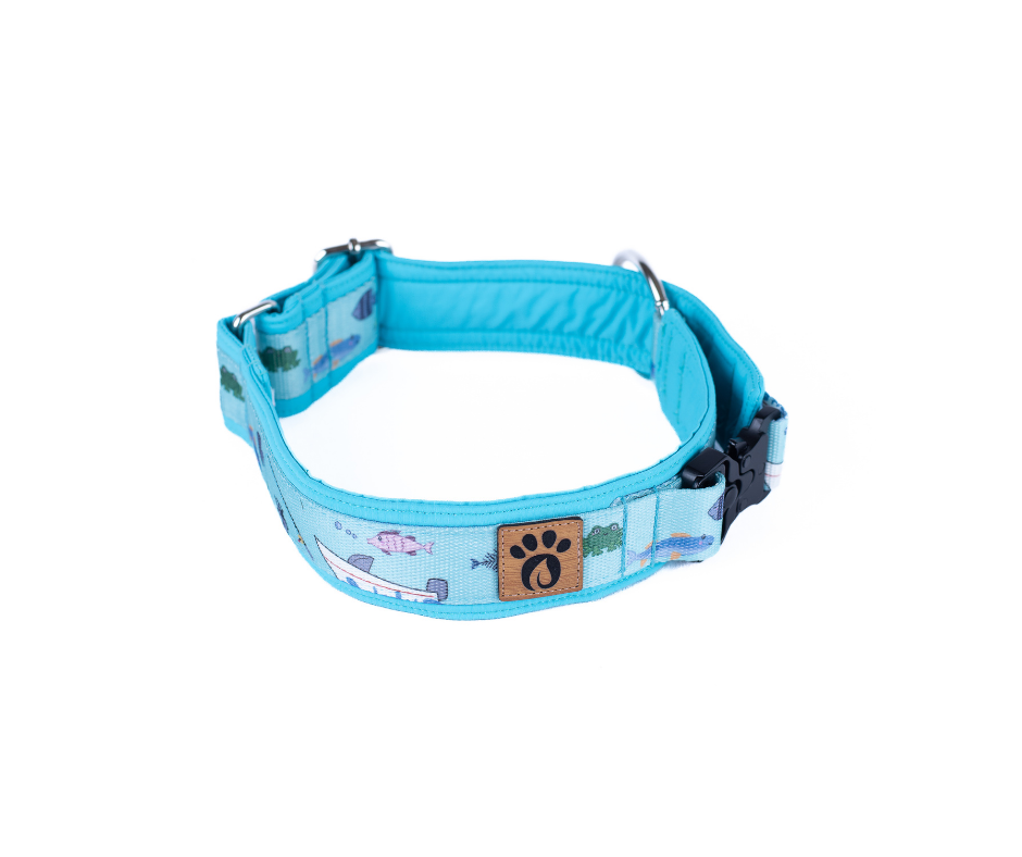 Collier pour chien Éco-Quotidien