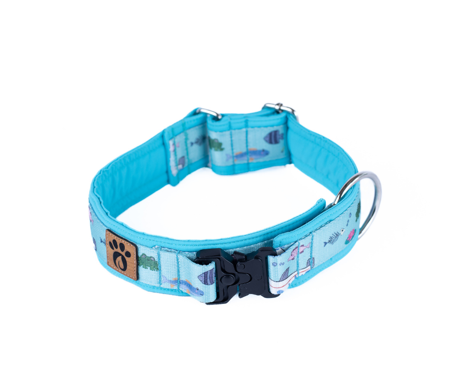 Collier pour chien Éco-Quotidien