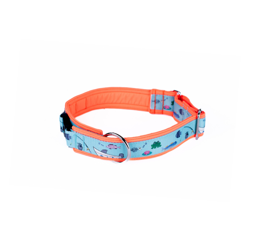 Collier pour chien Éco-Quotidien