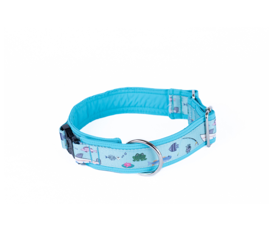 Collier pour chien Éco-Quotidien