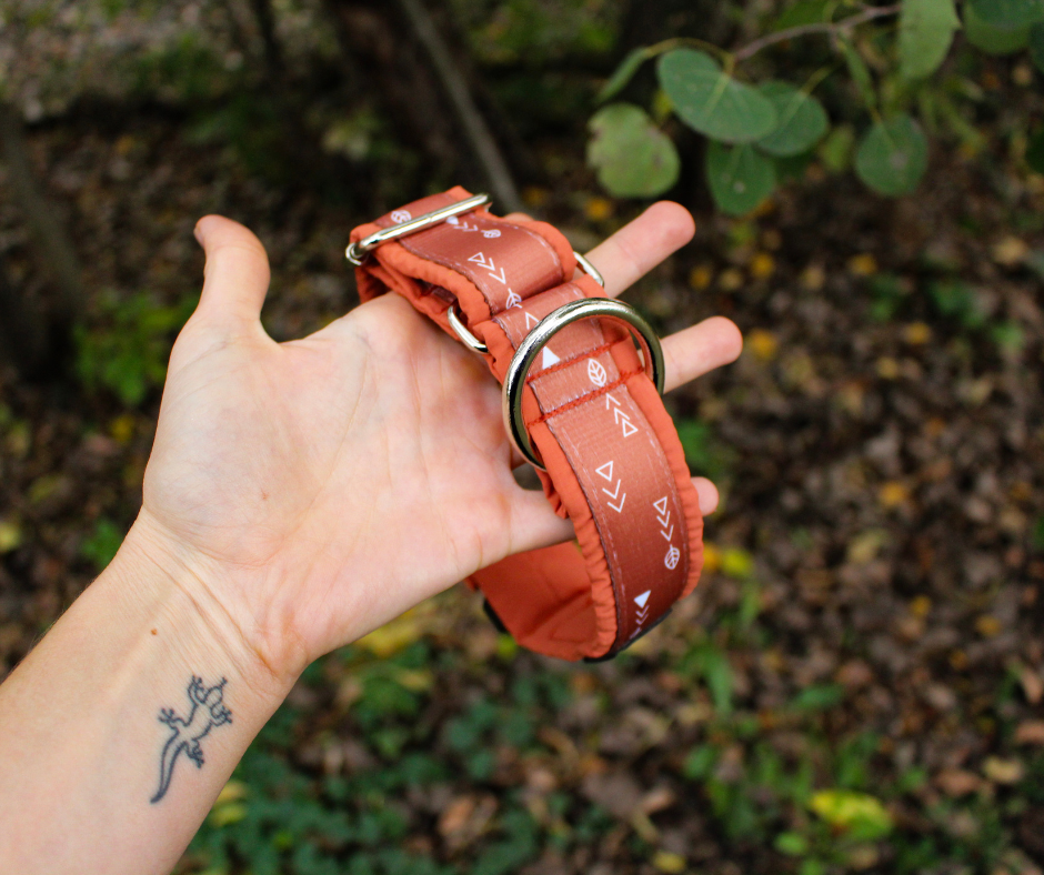 Collier pour chien Éco-Quotidien