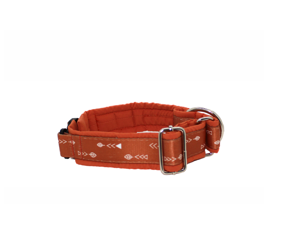 Collier pour chien Éco-Quotidien