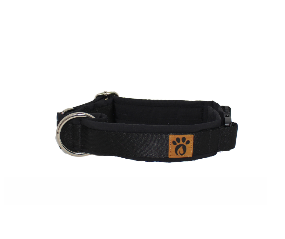 Collier pour chien Éco-quotidien
